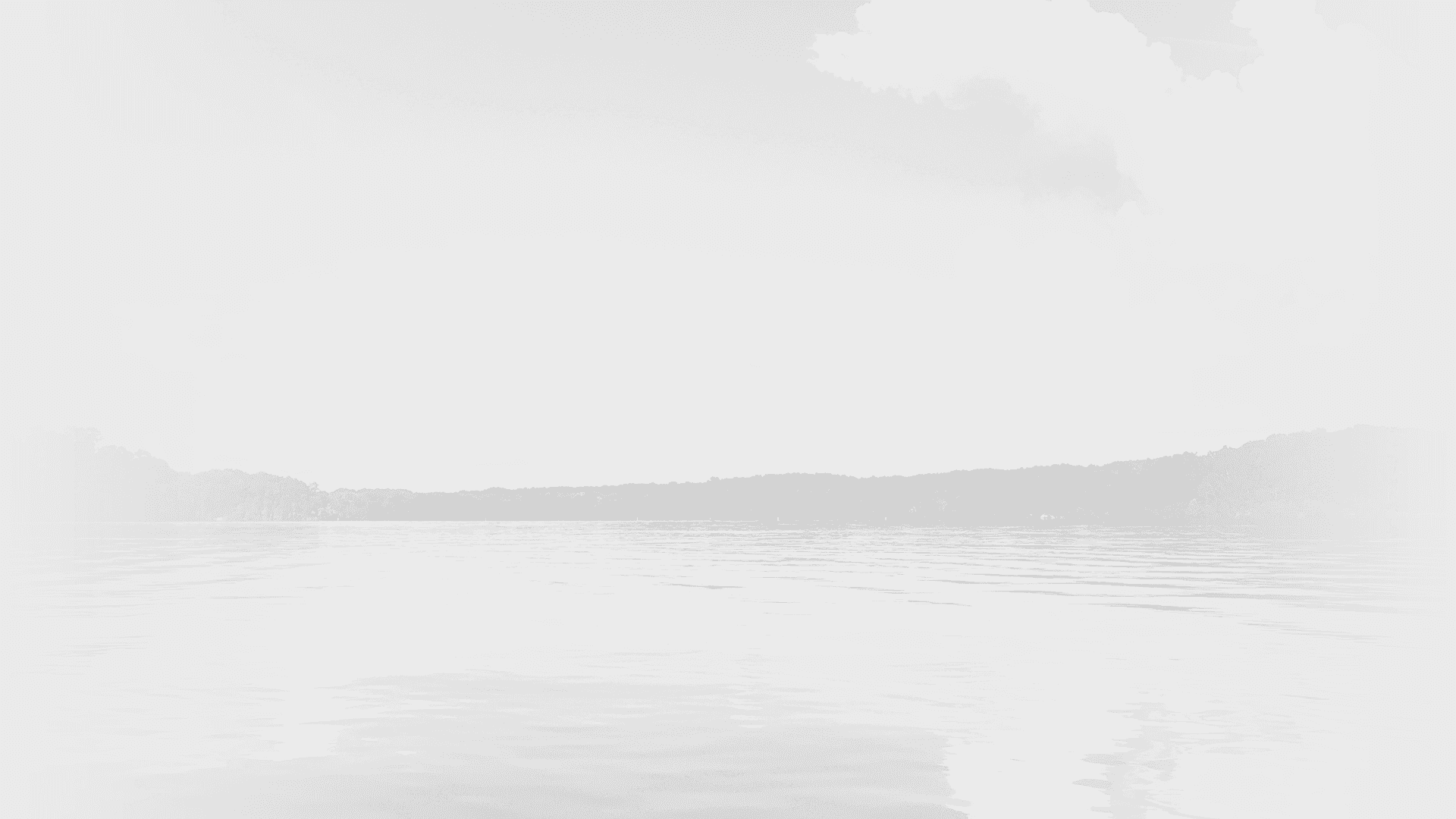 Duck Hunting Guide on Kentucky Lake Loveless Outdoor Adventures